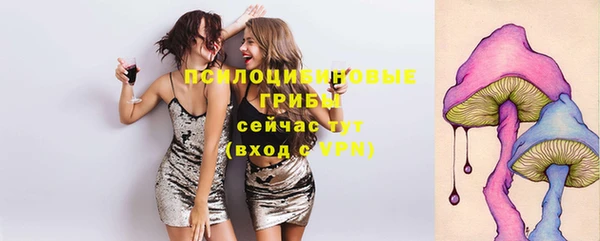 таблы Каменка