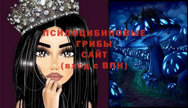 a pvp Каменск-Шахтинский
