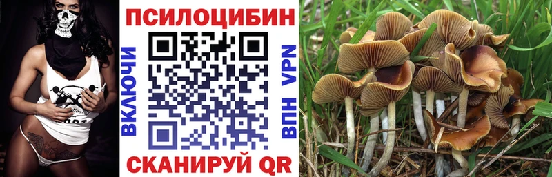 Галлюциногенные грибы прущие грибы  Купить  Зубцов 